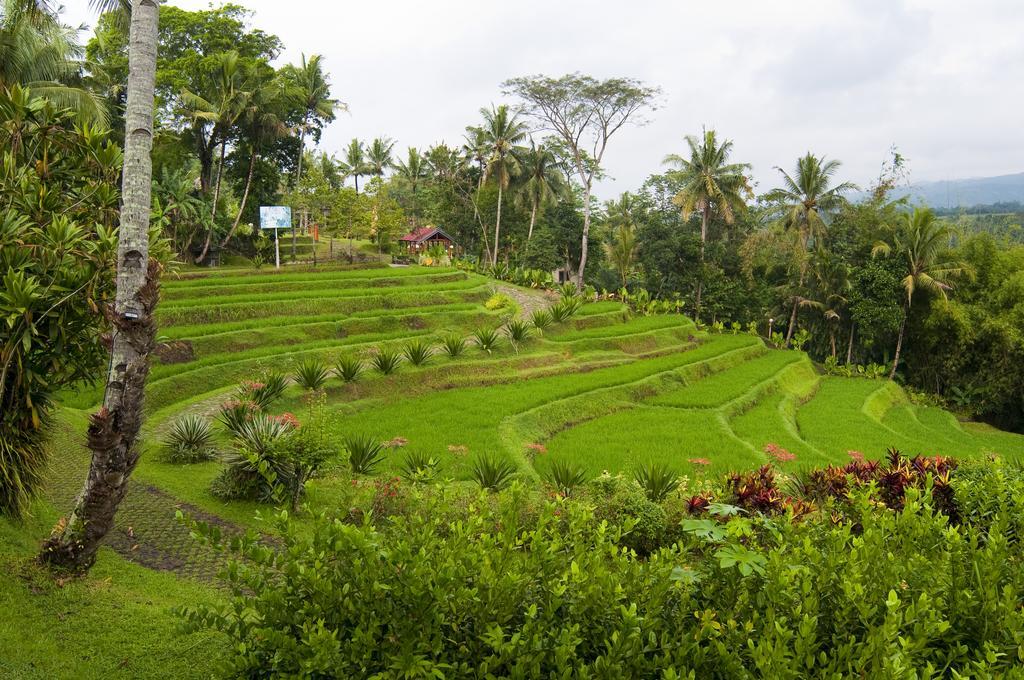 Puri Asri Hotel & Resort Magelang Zewnętrze zdjęcie